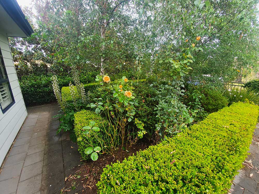Adelaide Hills Gardening Services