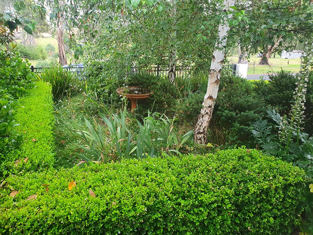 Garden Services Adelaide Hills