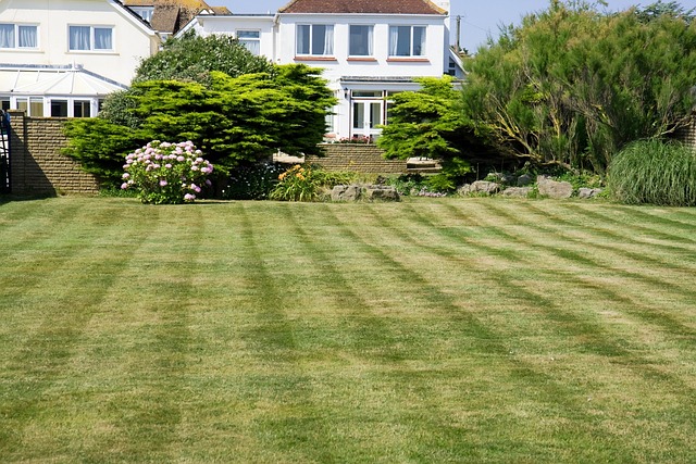 Lawn Mowing Adelaide Hills