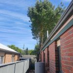 Adelaide Hills Tree Trimmings