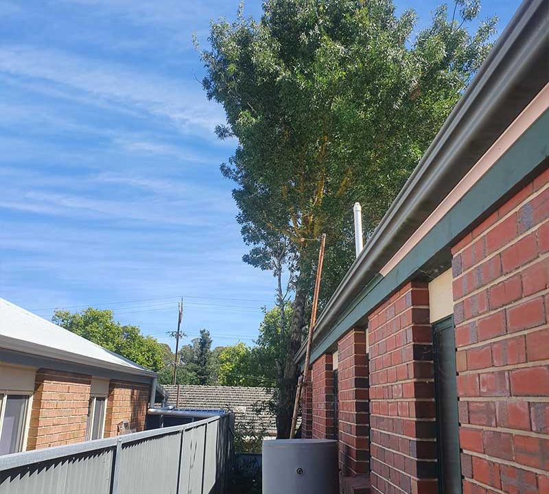 Adelaide Hills Tree Trimmings