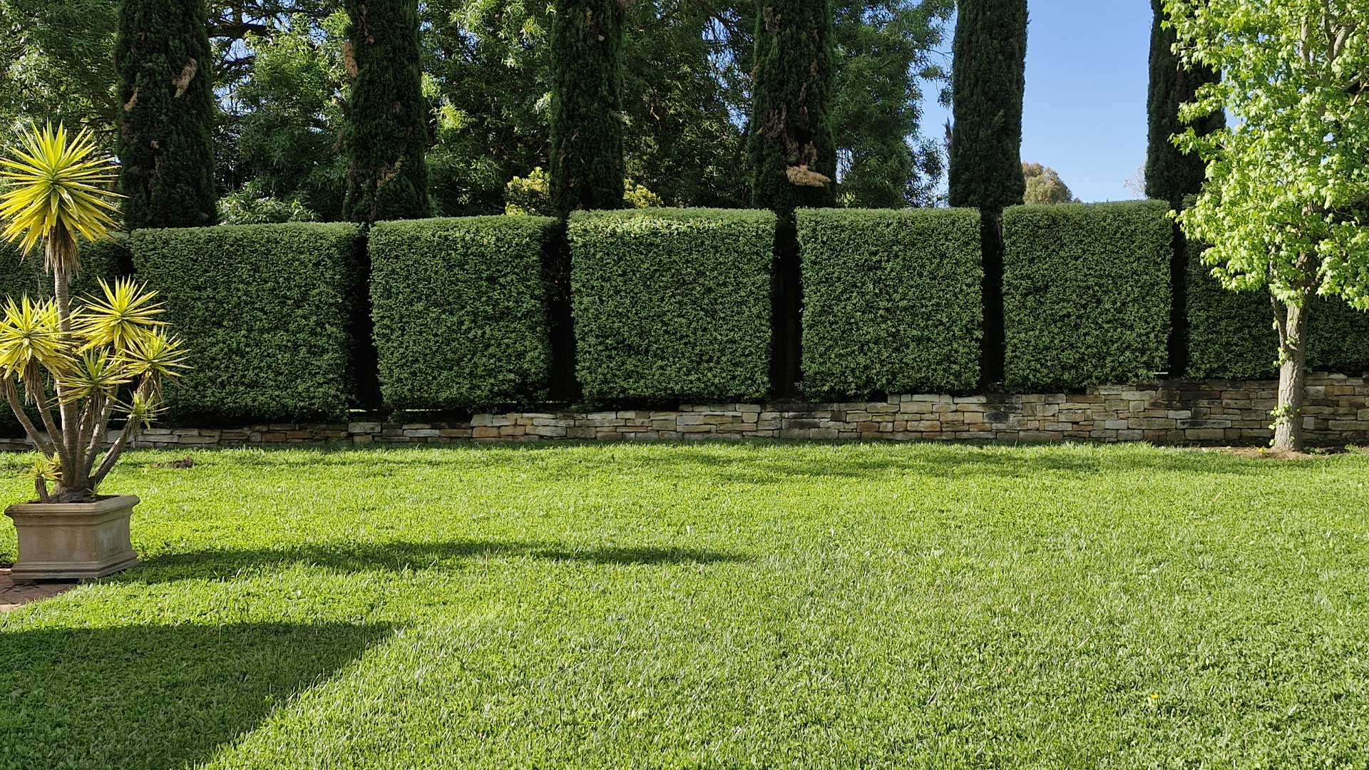 Professional Hedge Trimming in the Adelaide Hills by Universal Gardens and Lawn