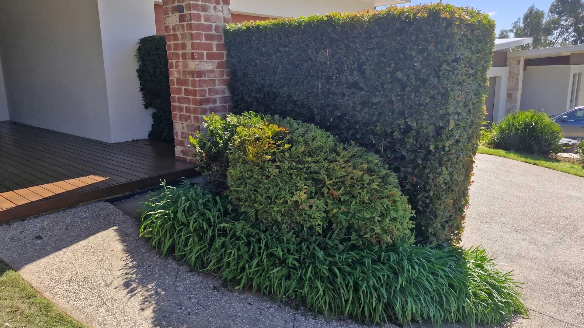 Professional Hedge Trimming Service in the Adelaide Hills by Universal Gardens and Lawn