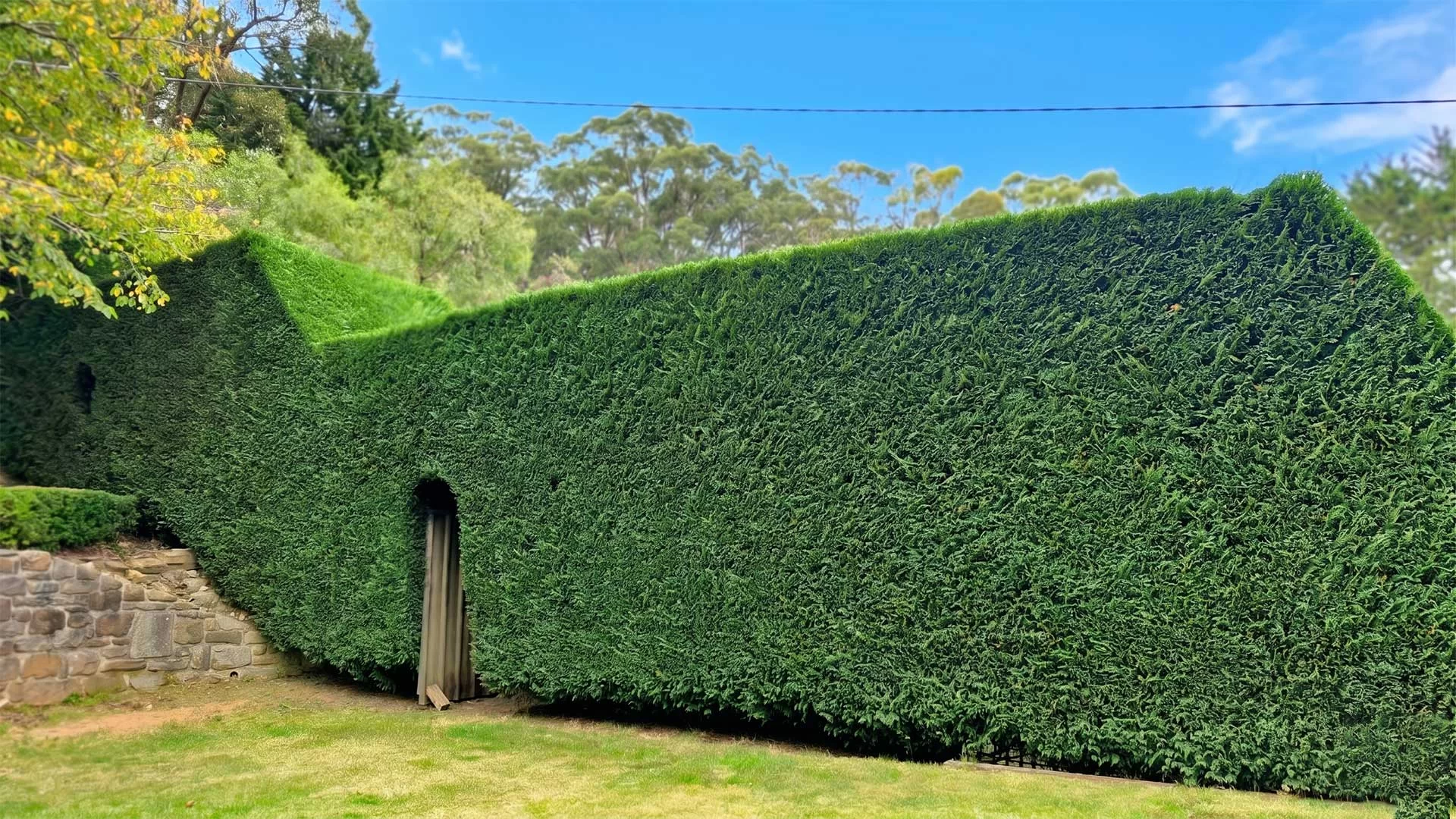Adelaide Hills Hedge Trimming Server